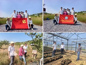 支部活动.jpg