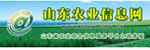 山东农业信息网